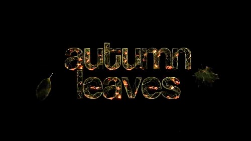 Autumn Leaves
