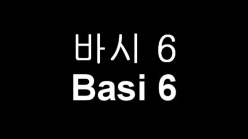 Basi 6