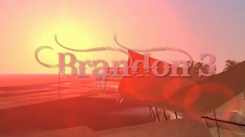 Brandon 3