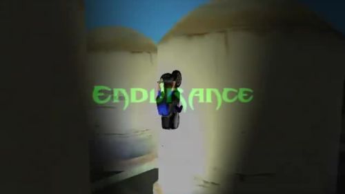 Endurance