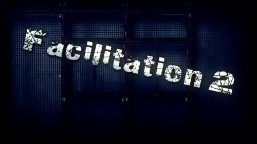 Facilitation 2