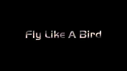 Fly Like A Bird