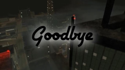Goodbye