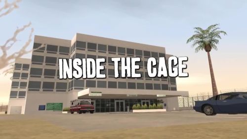 Inside the Cage