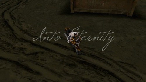 Into Eternity