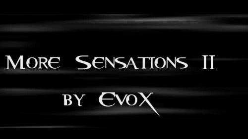 More Sensations 2
