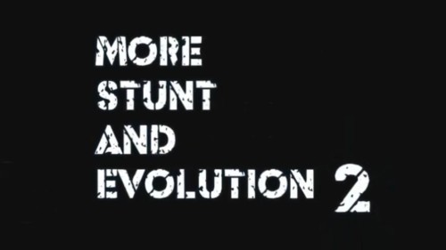 More Stunt And Evolution 2
