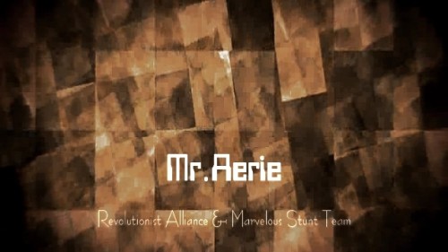 Mr. Aerie