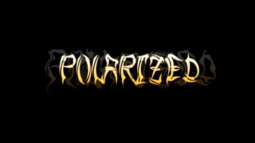 Polarized