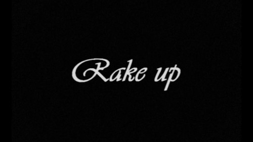 Rake Up