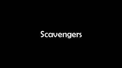 Scavengers