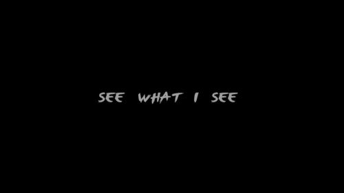 See What I See
