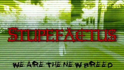Stupefactus