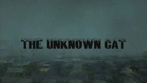 The Unknown Cat - Part 1