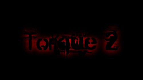 Torque 2