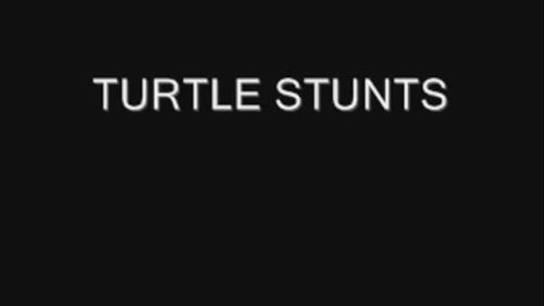 Turtle Stunts
