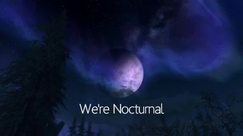 We're Nocturnal